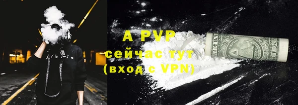 индика Горно-Алтайск