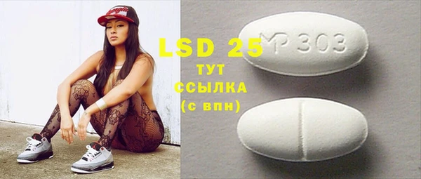 индика Горно-Алтайск