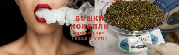 амф Дмитров