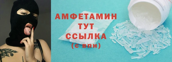 индика Горно-Алтайск