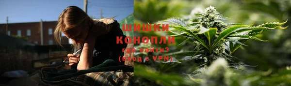 spice Горняк