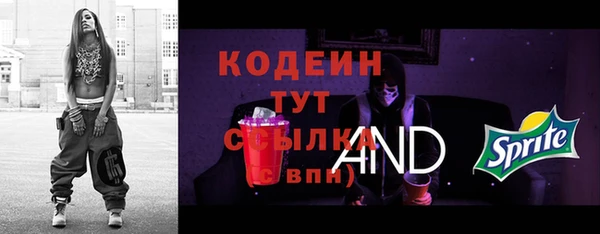 индика Горно-Алтайск
