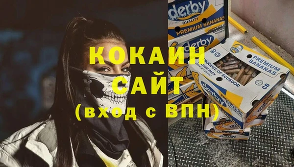 индика Горно-Алтайск