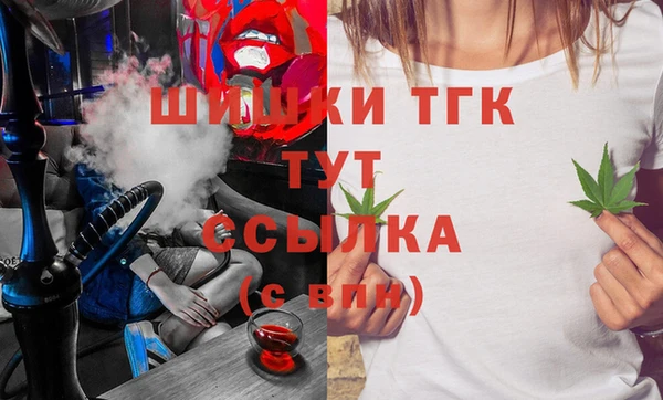 индика Горно-Алтайск