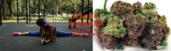 индика Горно-Алтайск