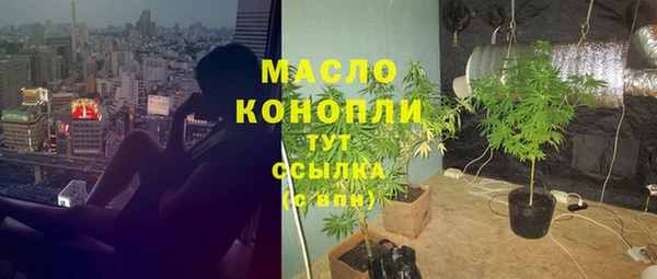 мдпв Горнозаводск