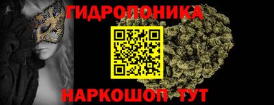 прущие крисы Малгобек