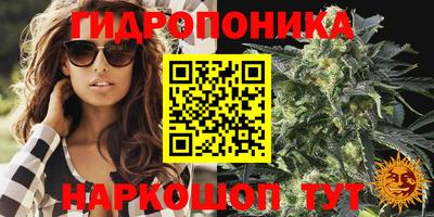 прущие крисы Малгобек