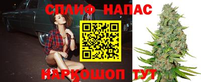 прущие крисы Малгобек